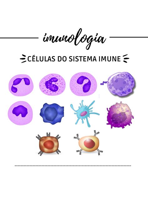 celulas do sistema imune-4